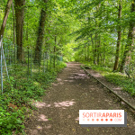 Visuel forêt  - IMG 7024