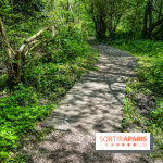 Visuel forêt  - IMG 7033