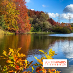 Visuel forêt  - IMG 1104