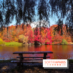 Visuel forêt  - IMG 4757