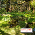 Visuel forêt  -  A7C8758