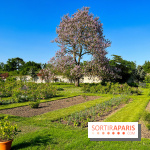 Le Jardin du Parfumeur à Versailles