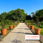Le Jardin du Parfumeur à Versailles