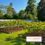 Le Jardin du Parfumeur à Versailles