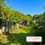 Le Jardin du Parfumeur à Versailles