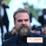 ©Rachid Bellak - David Harbour