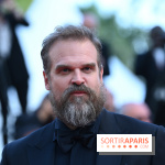 ©Rachid Bellak - David Harbour