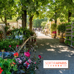 Jardins jardin au Tuileries 2023 - photos  -  A7C4757