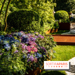 Jardins jardin au Tuileries 2023 - photos  -  A7C4745