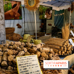Jardins jardin au Tuileries 2023 - photos  -  A7C4715