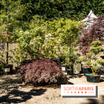 Jardins jardin au Tuileries 2023 - photos  -  A7C4714