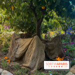 Chanel à Jardins, Jardin 2023 - image00011