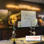 Chanel à Jardins, Jardin 2023 - image00020