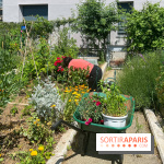 Jardins partagés (toit Beaugrenelle) - image00003