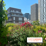 Jardins partagés (toit Beaugrenelle) - image00004