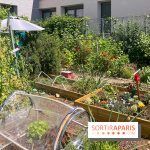 Jardins partagés (toit Beaugrenelle) - image00005