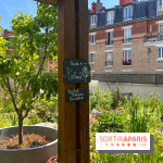 Jardins partagés (toit Beaugrenelle) - image00007