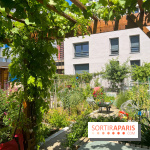 Jardins partagés (toit Beaugrenelle) - image00008