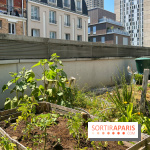 Jardins partagés (toit Beaugrenelle) - image00010