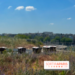 Les toits de Beaugrenelle - image00007