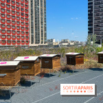 Les toits de Beaugrenelle - image00010