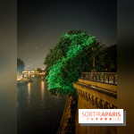 Nuit Blanche 2023 : des projections lumineuses magiques au Square du Vert Galant de l'Île de la Cité - IMG20230603000942