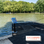 Le Gué, l'installation éphémère du Domaine de Sceaux qui fait marcher sur l'eau