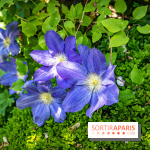 Les Jardins de Sonja au Perray-en-Yvelines -  A7C4990