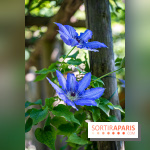 Les Jardins de Sonja au Perray-en-Yvelines -  A7C5013