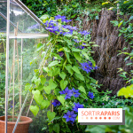 Les Jardins de Sonja au Perray-en-Yvelines -  A7C5016