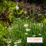 Les Jardins de Sonja au Perray-en-Yvelines