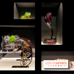 Exposition