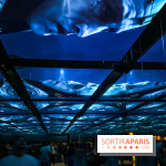 Diablo IV Atelier des Ténèbres Atelier des Lumières - IMG 8905