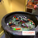 La Maison des Histoires - IMG 3024