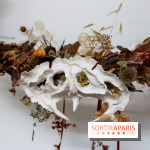 De(s)rives 2023 : nos photos de l'expo insolite au gymnase Huyghens - IMG 0219