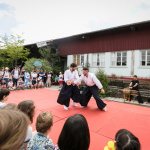 Matsuri, le festival qui met en avant la culture japonaise à Paris  - aikido
