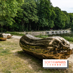 Perchoir Y, restaurant par Guillaume Sanchez et guinguette en forêt -  A7C5849
