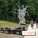 Perchoir Y, restaurant par Guillaume Sanchez et guinguette en forêt -  A7C5865