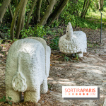 Perchoir Y, restaurant par Guillaume Sanchez et guinguette en forêt -  A7C5876