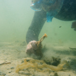 La soirée de sensibilisation à la protection de nos océans à la Recyclerie - SCOTLAND 1.91.1