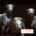 Exposition Ron Mueck à la Fondation Cartier 2023 -  A7C6437