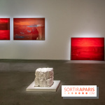 Expositions d'été au Palais de Tokyo Laura Lamiel