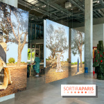 "Sur le fil : de Dakar à Paris", la nouvelle exposition de la Galerie du 19M - image00022