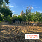 Nocturnes au Parc Zoologique de Paris - IMG 3495