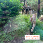 Nocturnes au Parc Zoologique de Paris