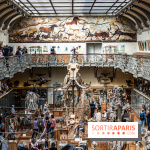 Le mammouth de Durfort restauré au Muséum national d’Histoire naturelle -  A7C7434