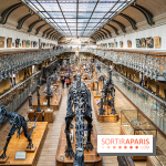 Le mammouth de Durfort restauré au Muséum national d’Histoire naturelle -  A7C7432