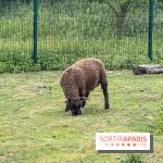 Base de loisirs de Saint-Quentin-en-Yvelines - Ile de loisirs de Trappes - activités - IMG 8652