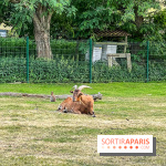 Base de loisirs de Saint-Quentin-en-Yvelines - Ile de loisirs de Trappes - activités