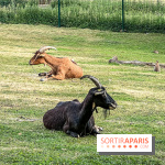 Base de loisirs de Saint-Quentin-en-Yvelines - Ile de loisirs de Trappes - activités - IMG 8649